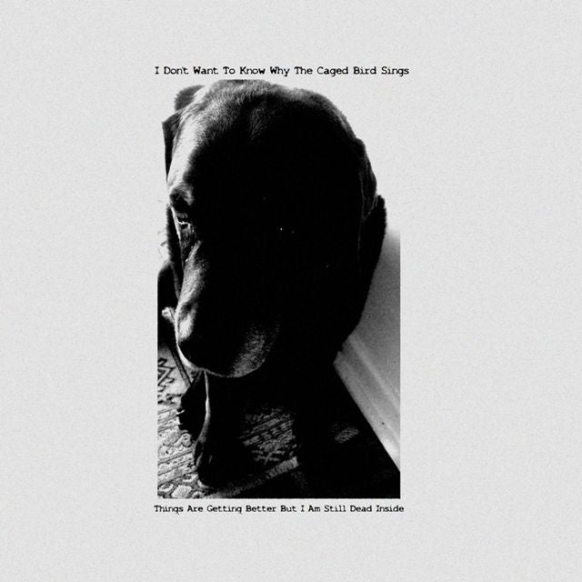 I Don't Want To Know Why The Caged Bird Sings - 'Three' [Ringtone]