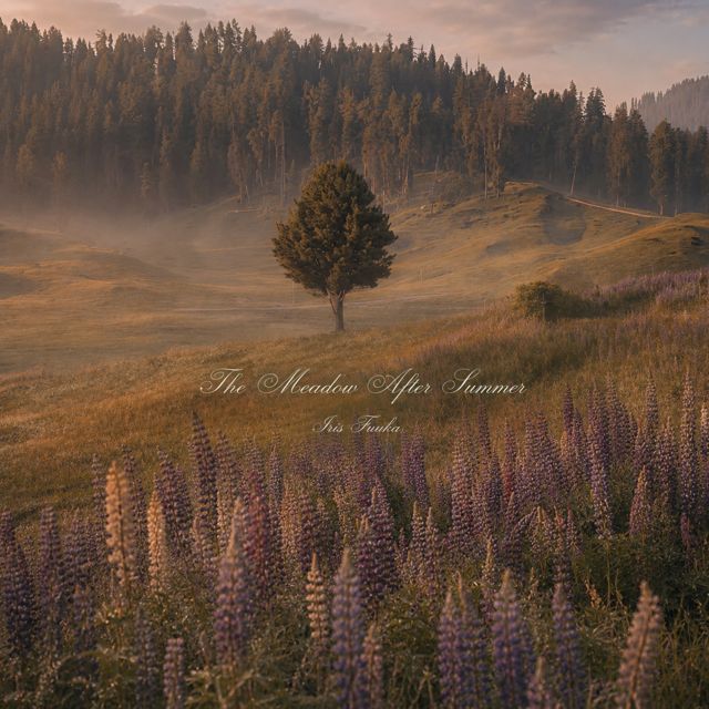 Iris Fuuka - 'Autumn Mist Over Rolling Hills' [Ringtone]