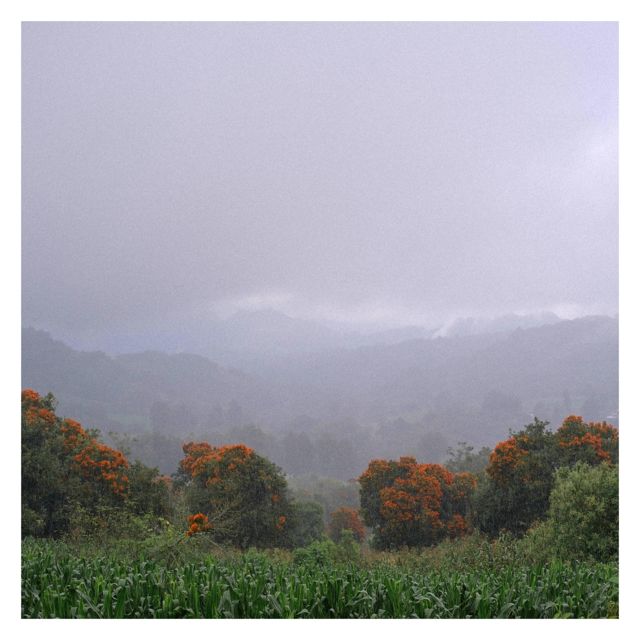 Johan Fuentes - 'Cuapesmos' [Ringtone]