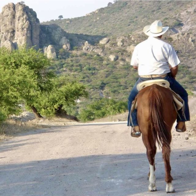 Jorge Gonzalo Noguez Reyes - 'Soy de Hidalgo' [Ringtone]