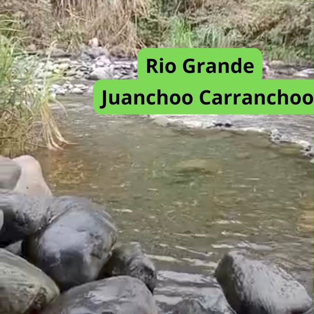 Juanchoo Carranchoo - 'Sol y Sabor' [Ringtone]