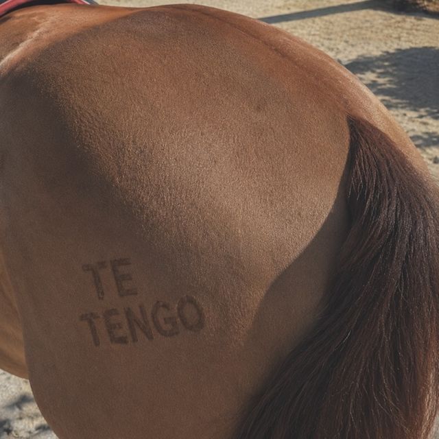 Juanpa Gordoa - 'TE TENGO' [Ringtone]