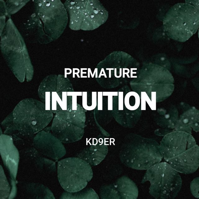 KD9ER - 'Premature Intuition' [Ringtone]