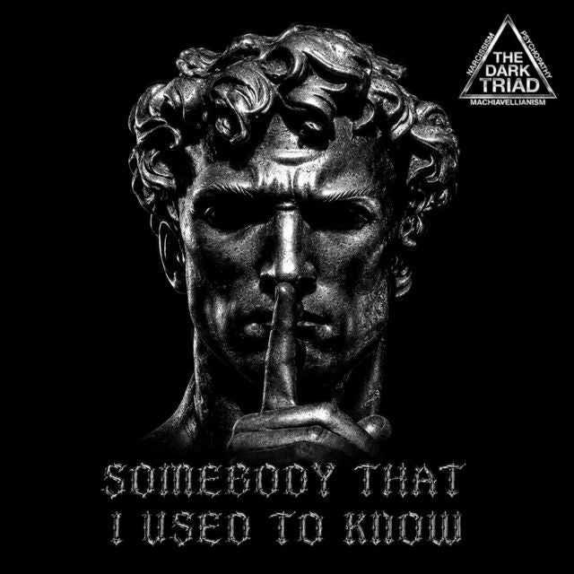 KRYTEK - 'SOMEBODY THAT I USED TO KNOW (HARDTEKK - SPED UP) (feat. CLAVICULAR)' [Ringtone]