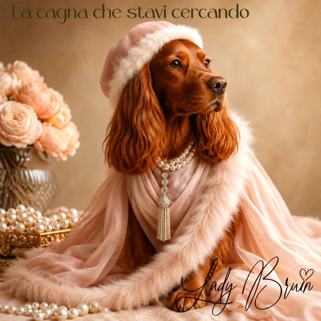 Lady Bruin - 'Vabbene vabbene' [Ringtone]