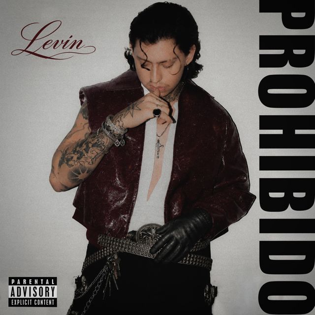 Levin - 'puntocrudo' [Ringtone]