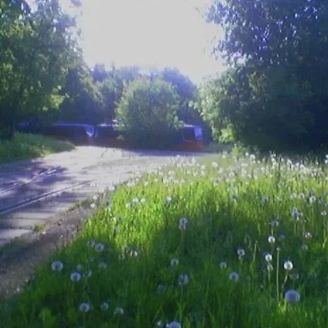 limerance - 'nature is outside' [Ringtone]