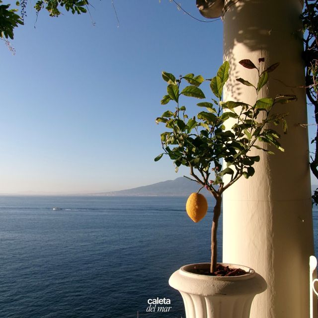 Línea Sur - 'Limoncello' [Ringtone]