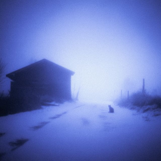 liscia - 'It is what it is' [Ringtone]