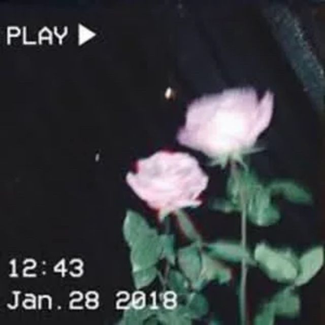Luminexa - 'Serene' [Ringtone]