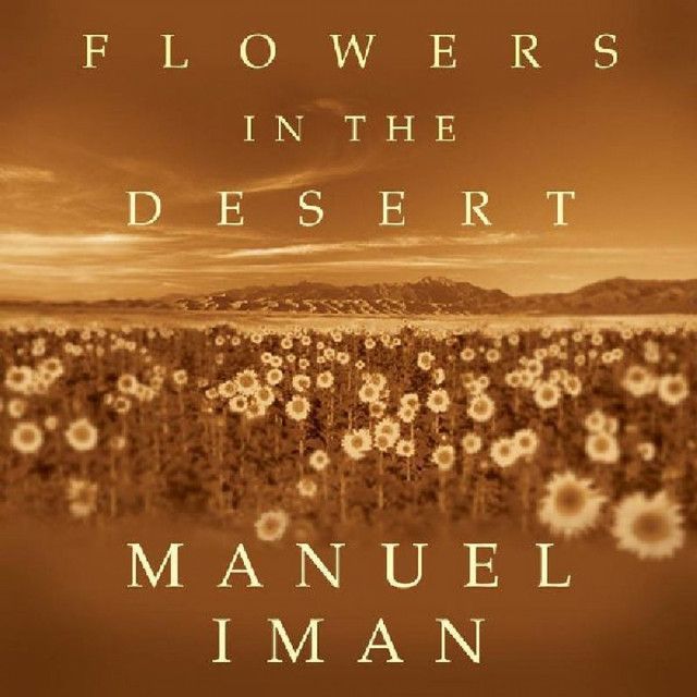 Manuel Iman - 'Swan Birthday' [Ringtone]