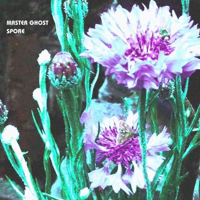master ghost - 'spore' [Ringtone]