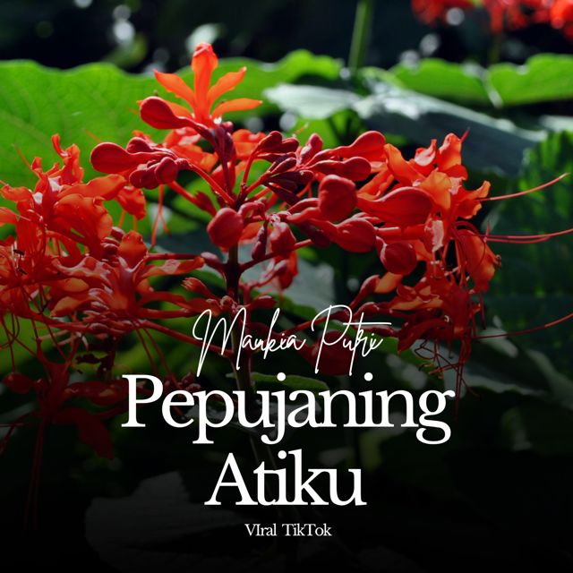 Maukia Putri - 'Pepujaning Atiku (Viral Tiktok) (feat. Panggih Bhondan & Joko Bowo)' [Ringtone]