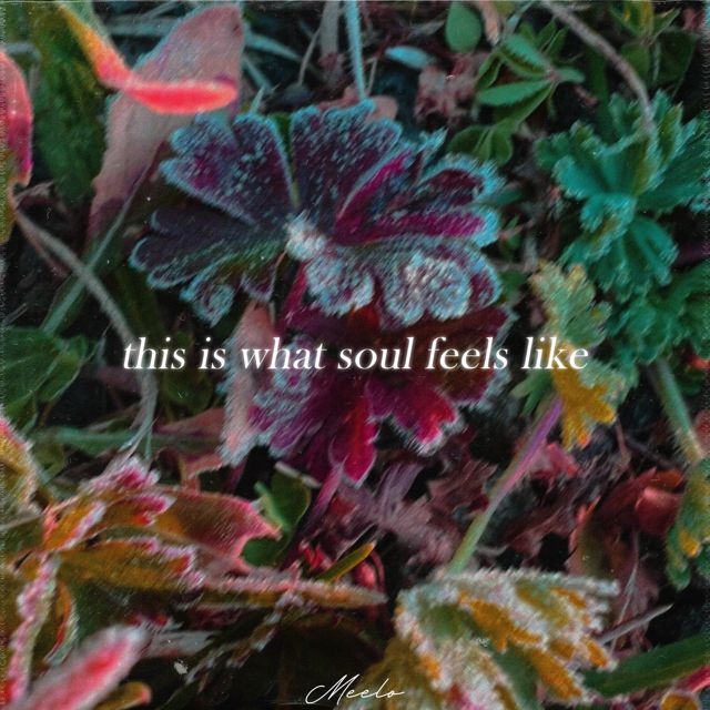 meelo.wav - 'this is what soul feels like' [Ringtone]