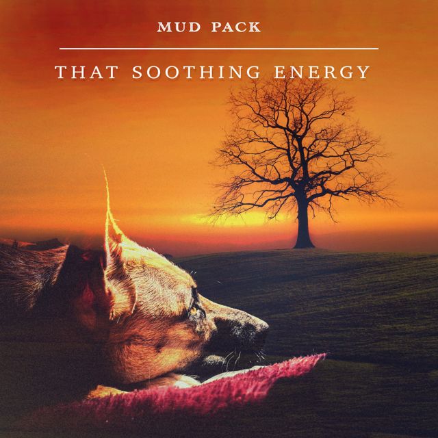 Mud Pack - 'Sample Forest' [Ringtone]