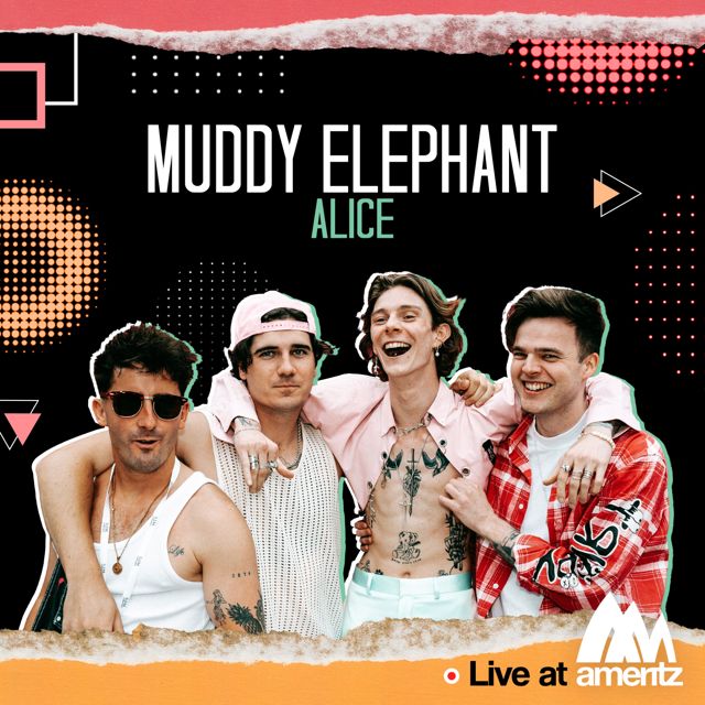 Muddy Elephant - 'Alice (Live at Ameritz)' [Ringtone]