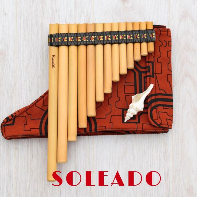 Music festival Andina - 'SOLEADO' [Ringtone]