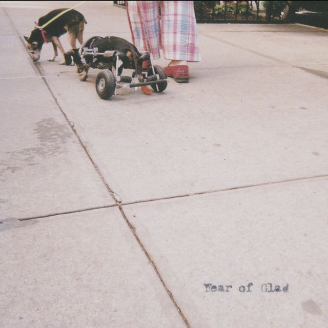 Naturally the foundation will bear your expenses - 'An apology is not an excuse, and I'm not sure which one I'm making' [Ringtone]