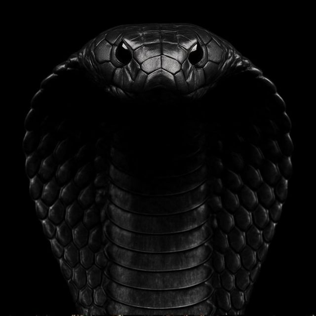 Neo - 'Sirens' [Ringtone]