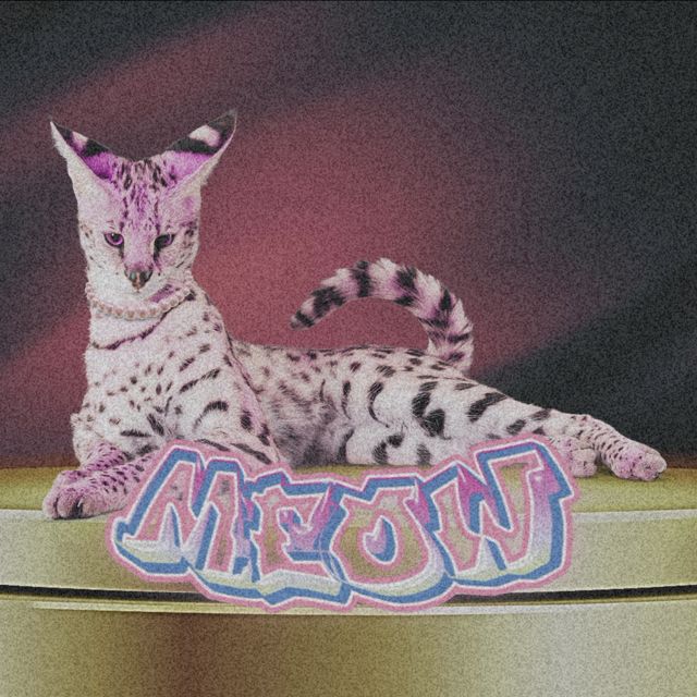 Nevaeh - 'MEOW' [Ringtone]