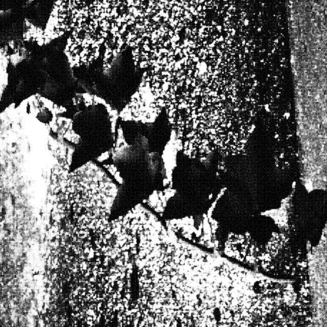 Nickalus Lindale - 'CYCLEpointOne' [Ringtone]