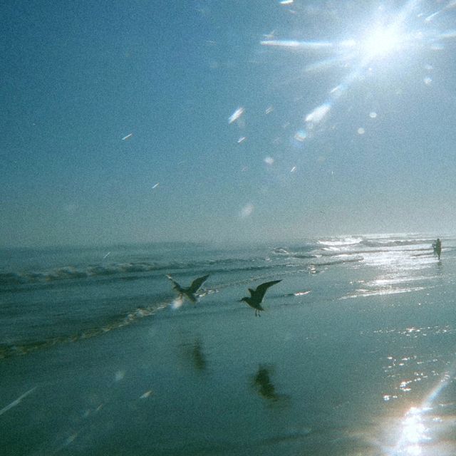 nilöwh. - 'essence (feat. ankiiyo)' [Ringtone]