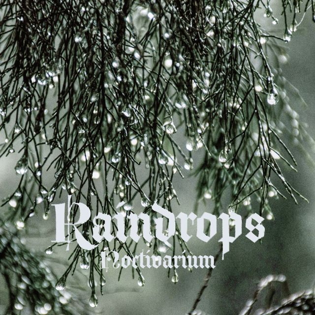 Noctivarium - 'Raindrops' [Ringtone]
