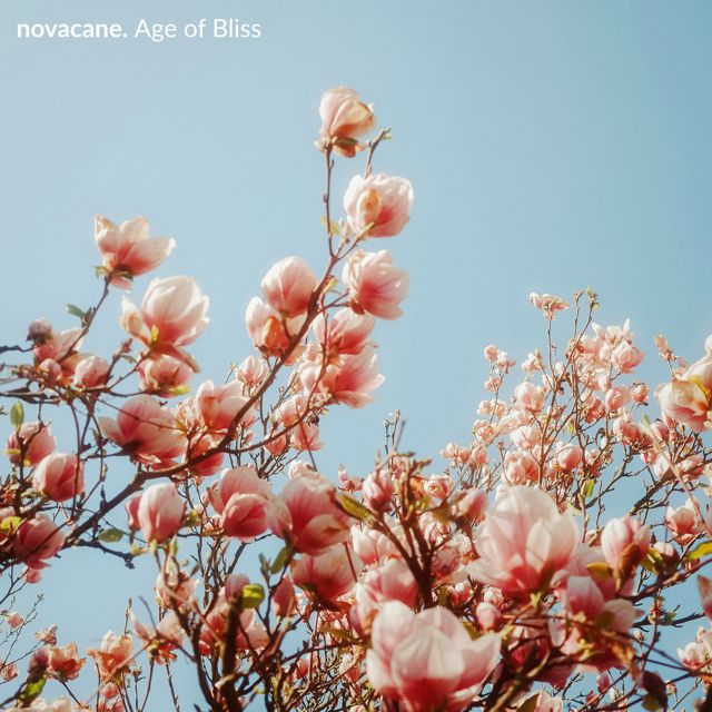 novacane. - 'Age of Bliss' [Ringtone]