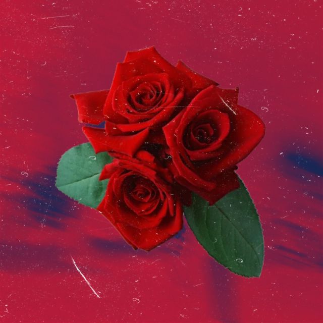 Ouwful - 'Red Rose' [Ringtone]