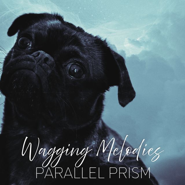 Parallel Prism - 'Compass Ecstatic' [Ringtone]