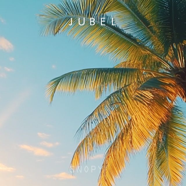 Payon S - 'Jubel' [Ringtone]