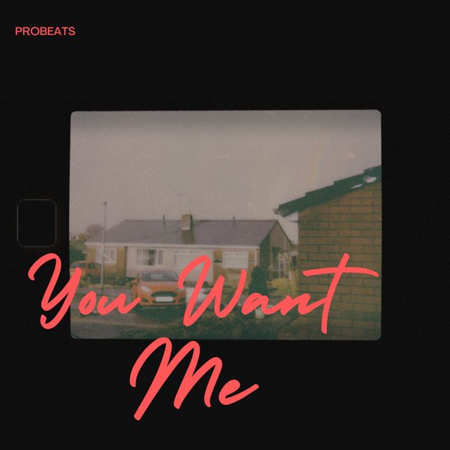 PROBEATS - 'You Want Me' [Ringtone]