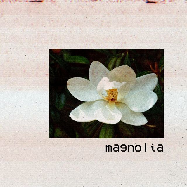 prod. jay - 'Magnolia' [Ringtone]