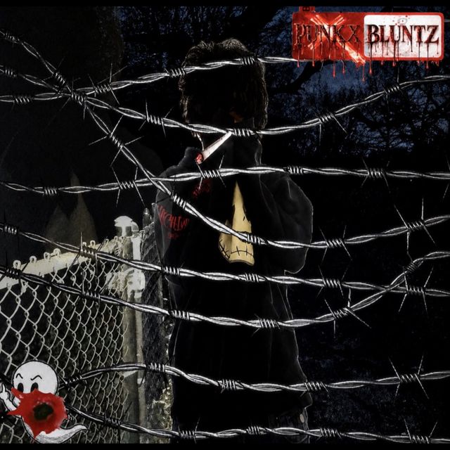 punkxbluntz - 'we not the same' [Ringtone]