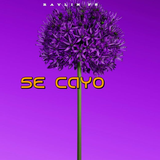 Raylin F5 - 'se cayo' [Ringtone]