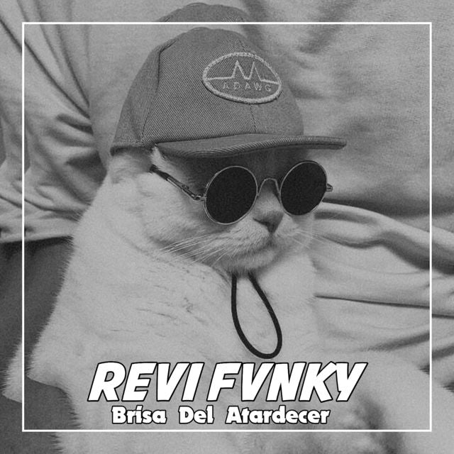 REVI FVNKY - 'Brisa del Atardecer' [Ringtone]