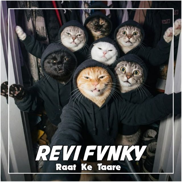 REVI FVNKY - 'Raat Ke Taare' [Ringtone]