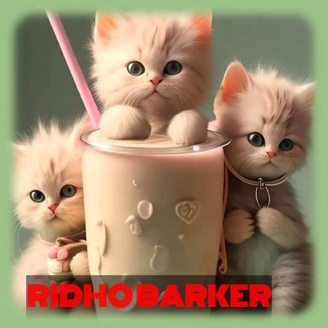 RIDHO BARKER - 'KAMU TERBAIK' [Ringtone]