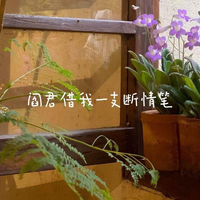 白兰滴 - '阎君借我一支断情笔' [Ringtone]