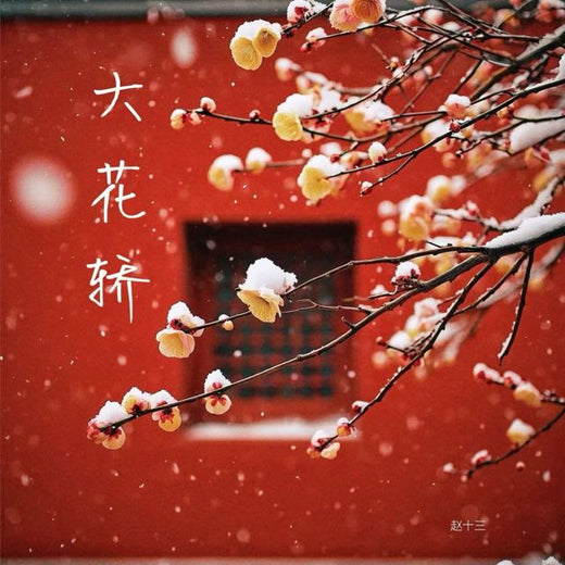 赵十三 - '大花轿' [Ringtone]
