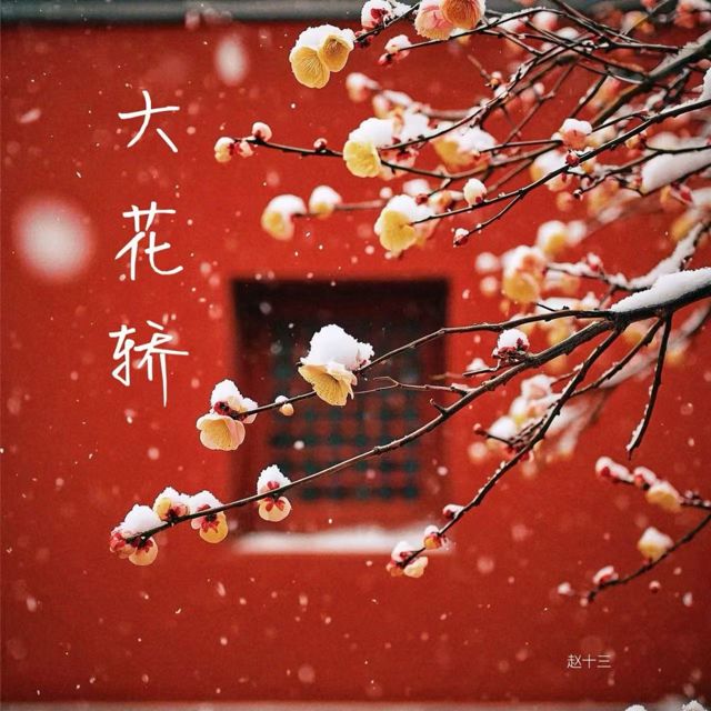 赵十三 - '大花轿' [Ringtone]
