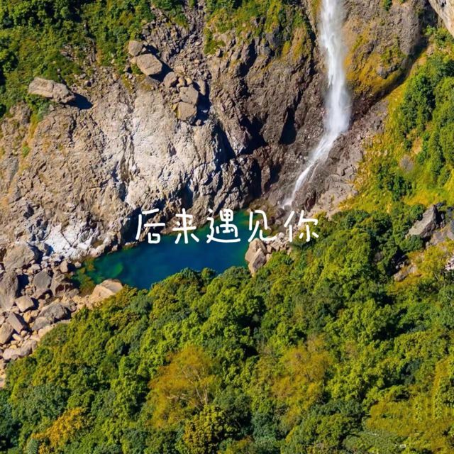 白兰滴 - '后来遇见你' [Ringtone]