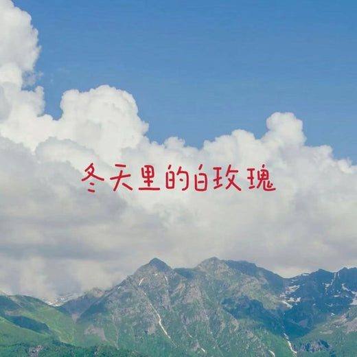 烟嗓船长 - '冬天里的白玫瑰' [Ringtone]