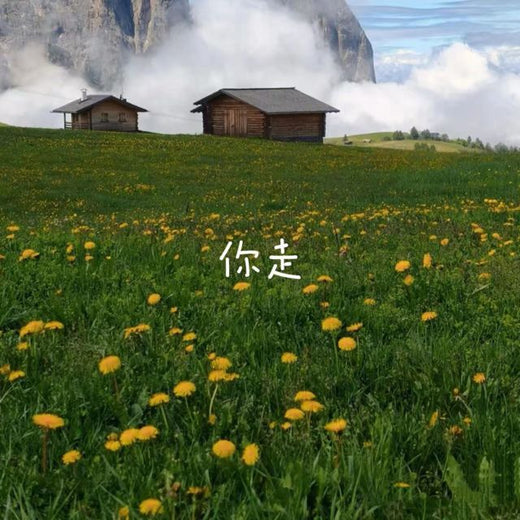 梨子芹菜 - '你走' [Ringtone]