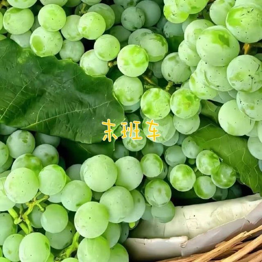 林诗曼 - '末班车' [Ringtone]