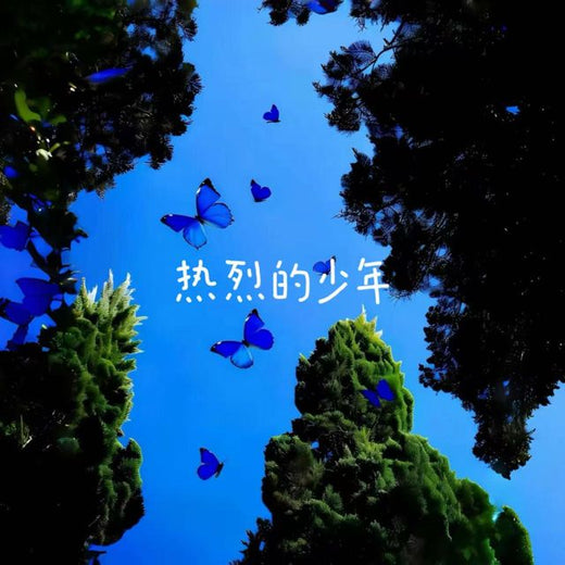 白兰滴 - '热烈的少年' [Ringtone]