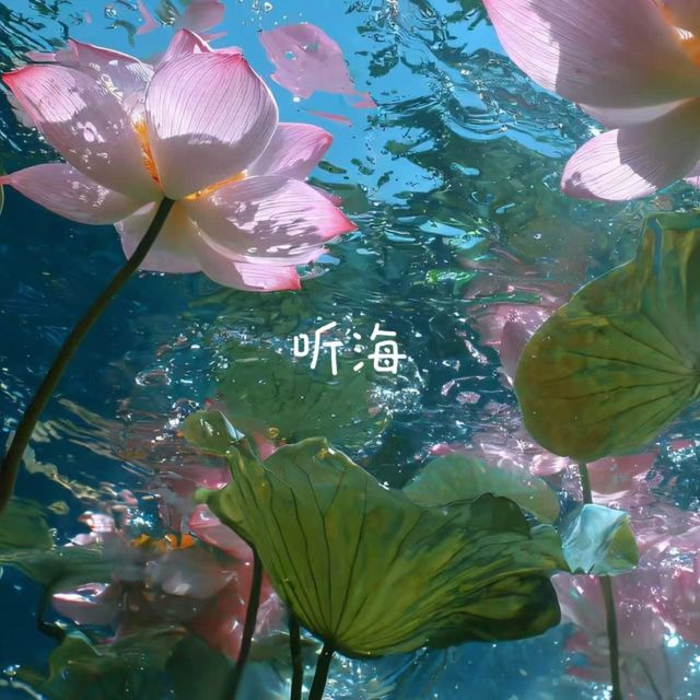 烟嗓船长 - '听海' [Ringtone]