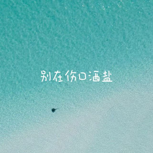 梨子芹菜 - '别在伤口洒盐' [Ringtone]
