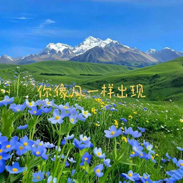梨子芹菜 - '你像风一样出现' [Ringtone]