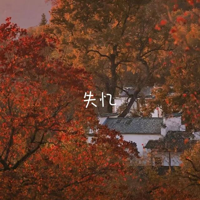 白兰滴 - '失忆' [Ringtone]